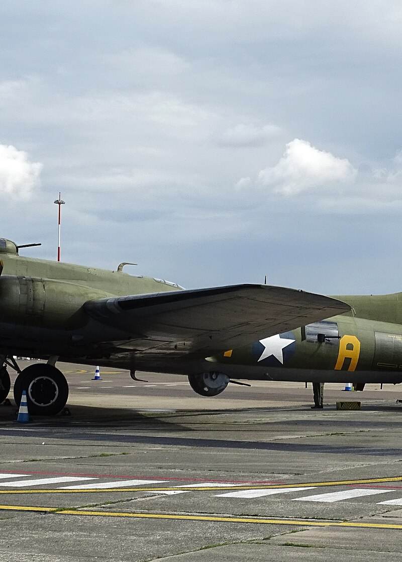  - Warbird