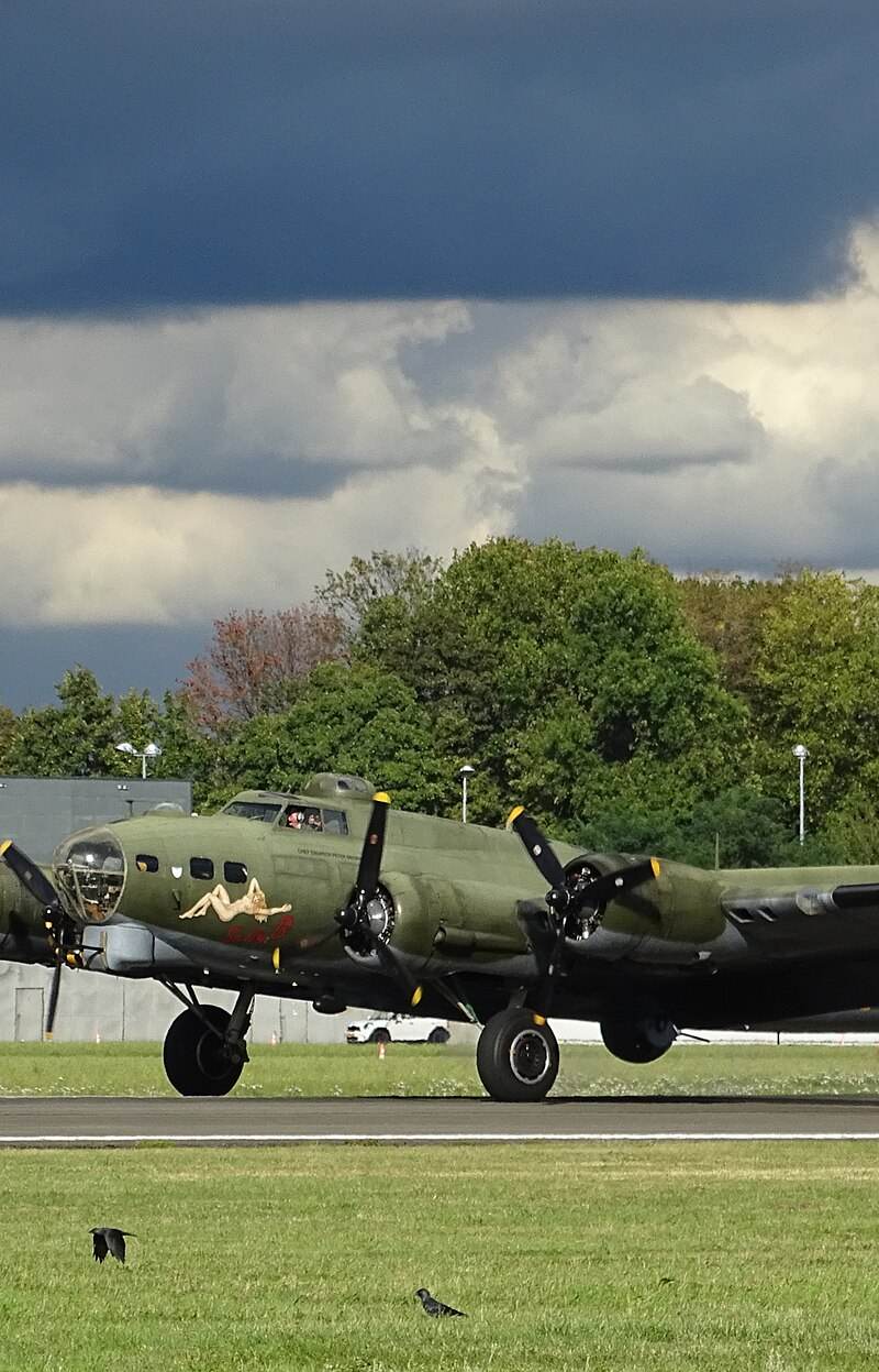  - Warbird
