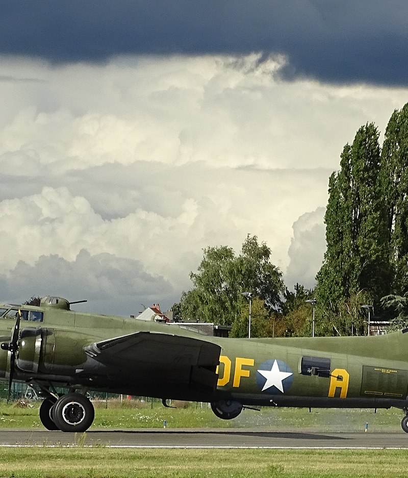  - Warbird
