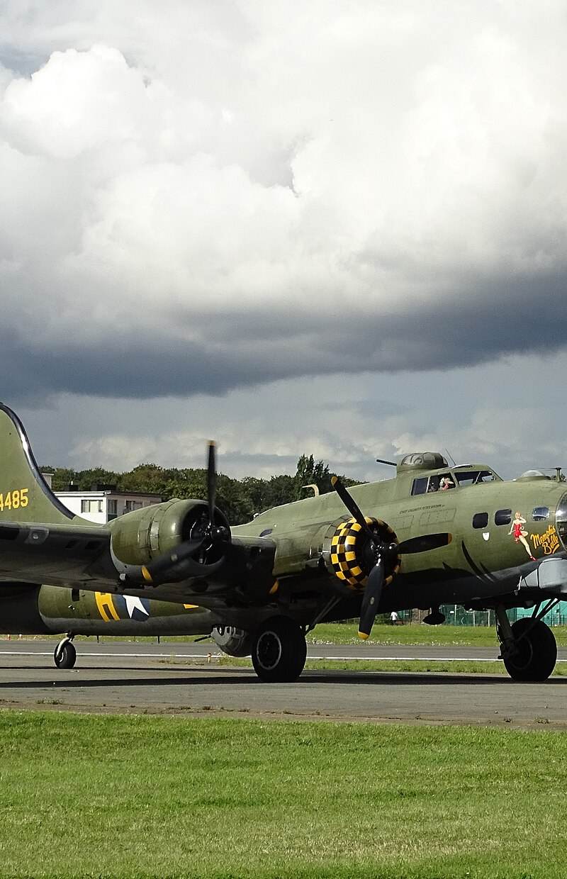  - Warbird