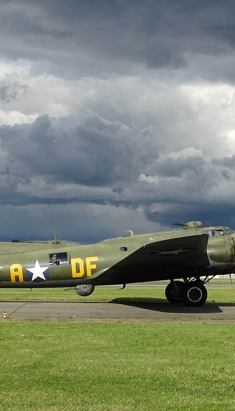  - Warbird
