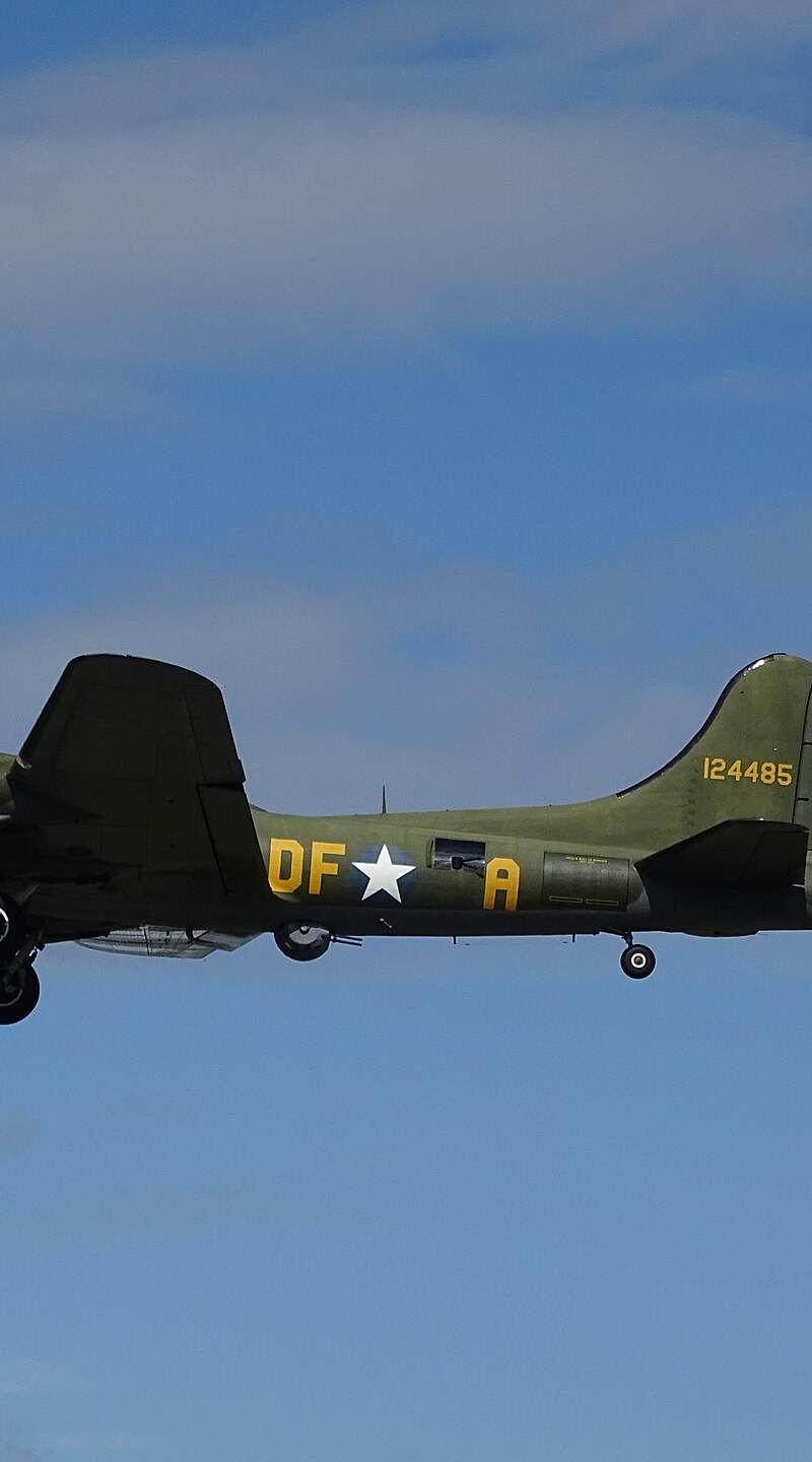  - Warbird