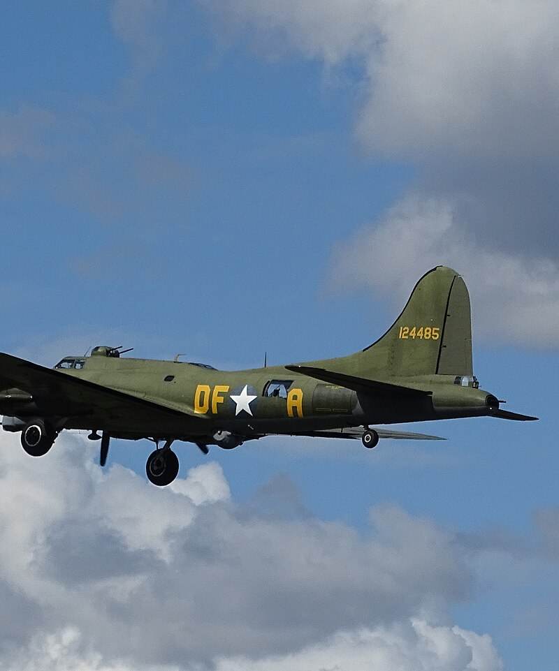  - Warbird