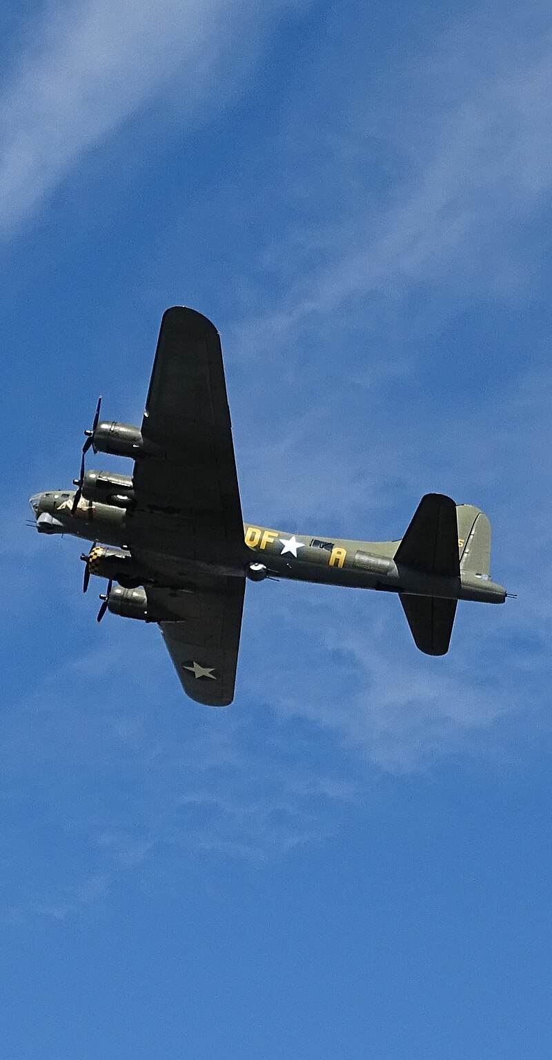  - Warbird