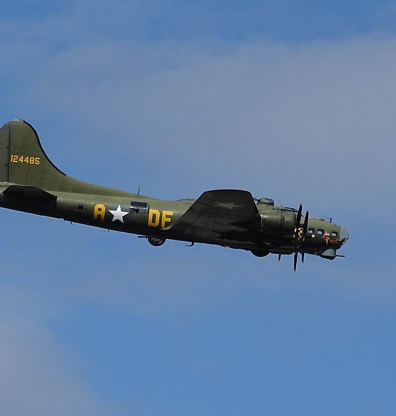  - Warbird
