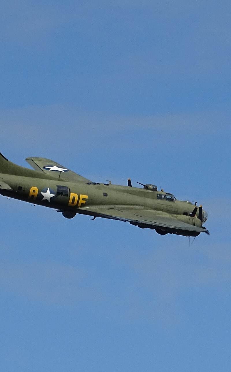  - Warbird