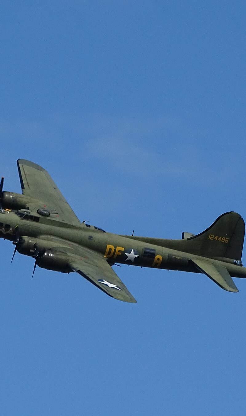  - Warbird
