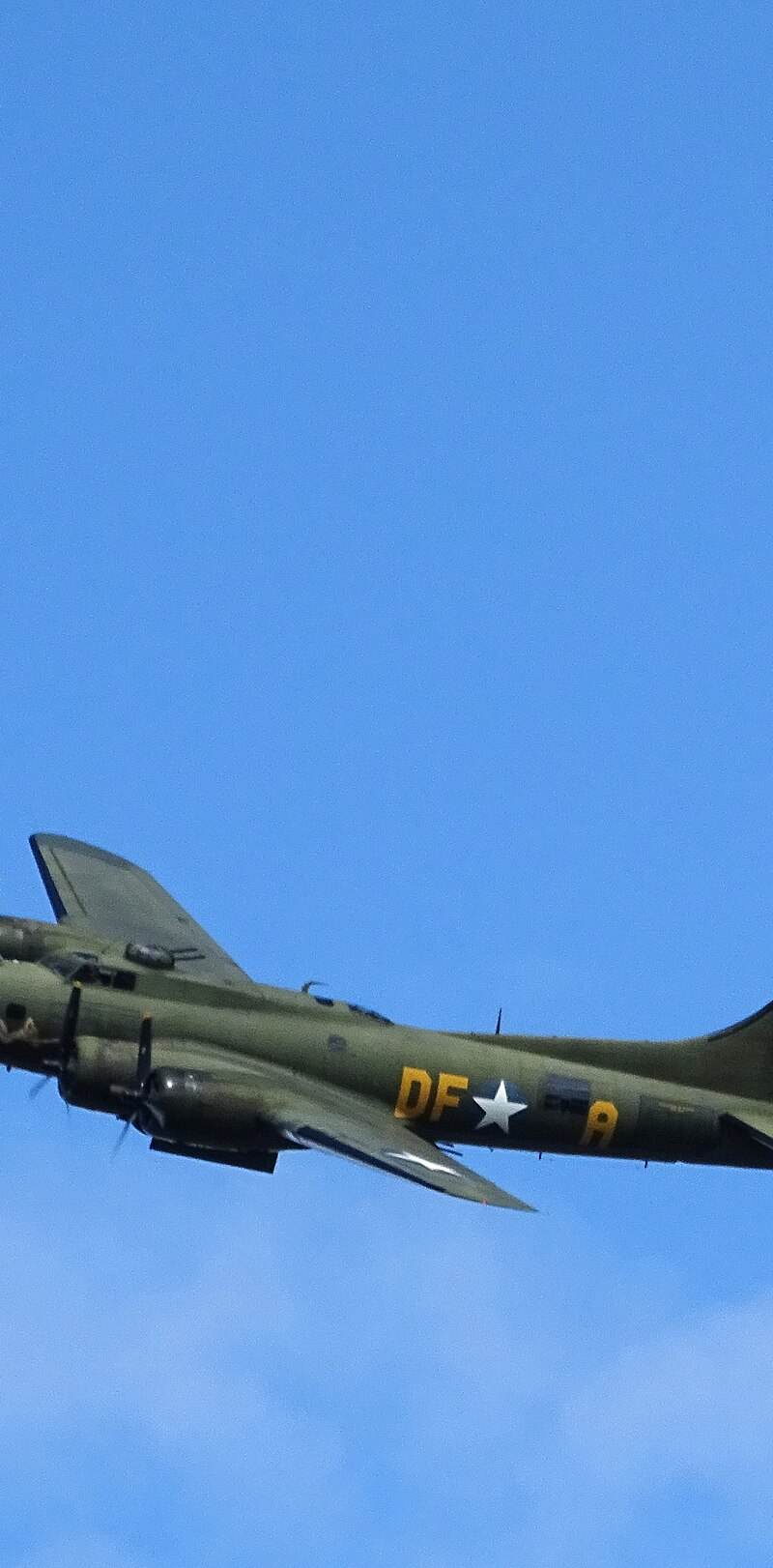  - Warbird