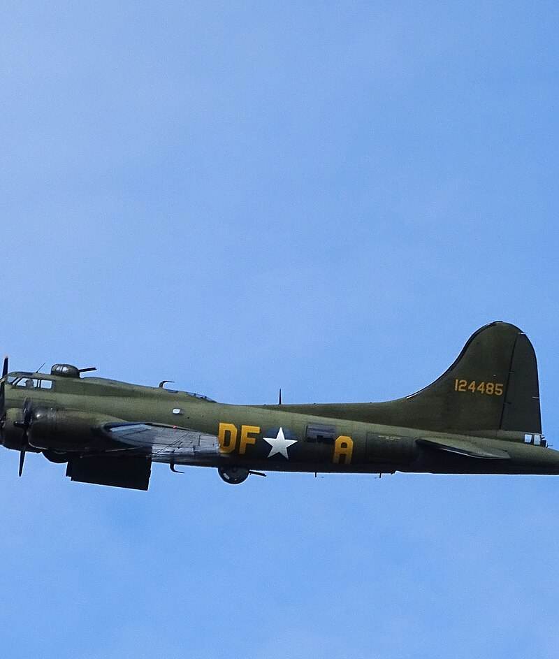  - Warbird
