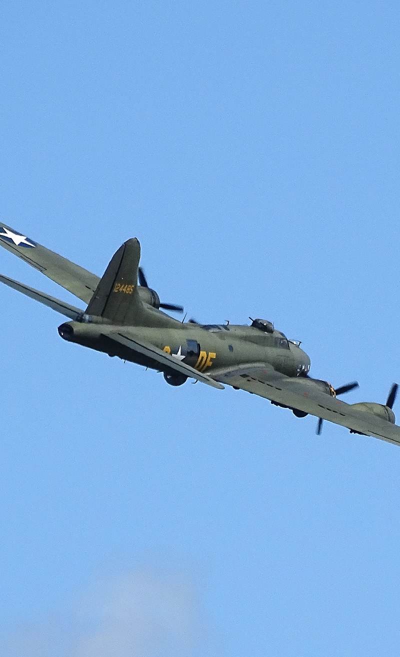  - Warbird