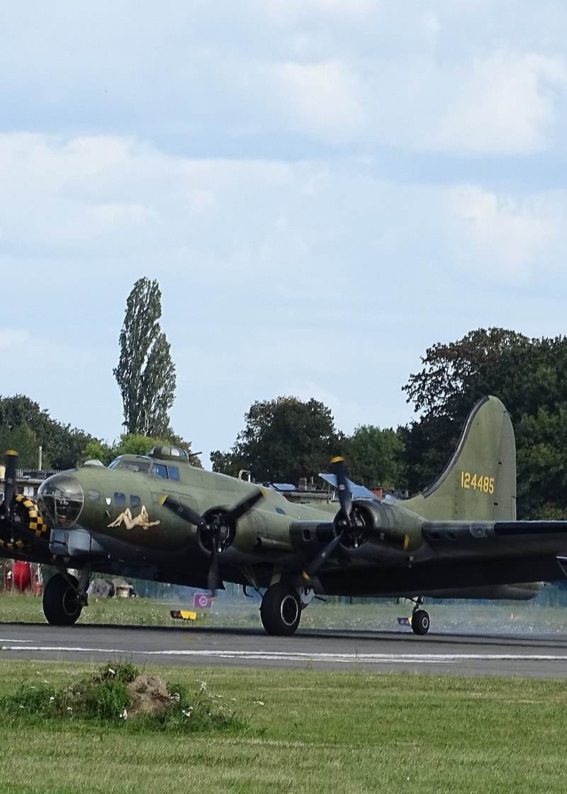  - Warbird