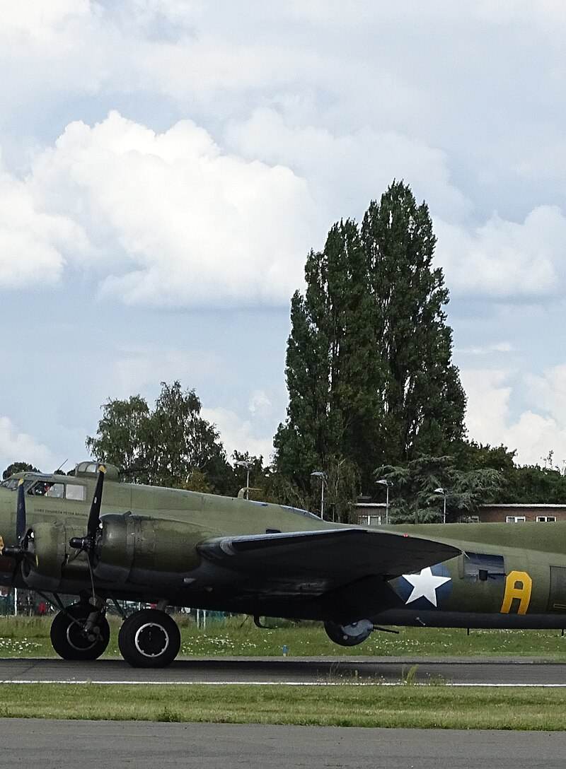  - Warbird