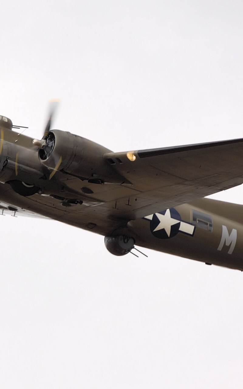  - Warbird