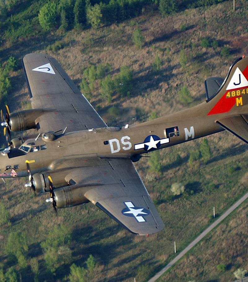  - Warbird