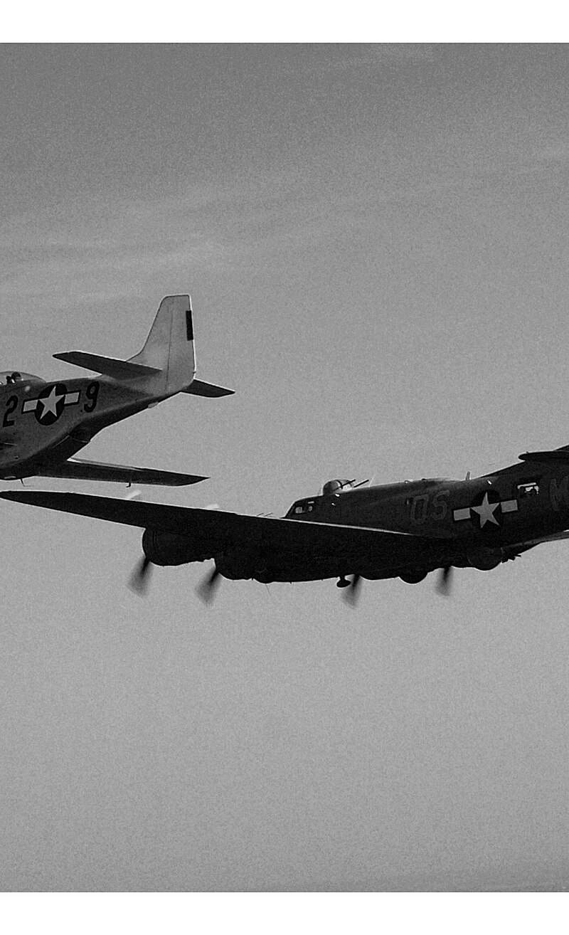  - Warbird