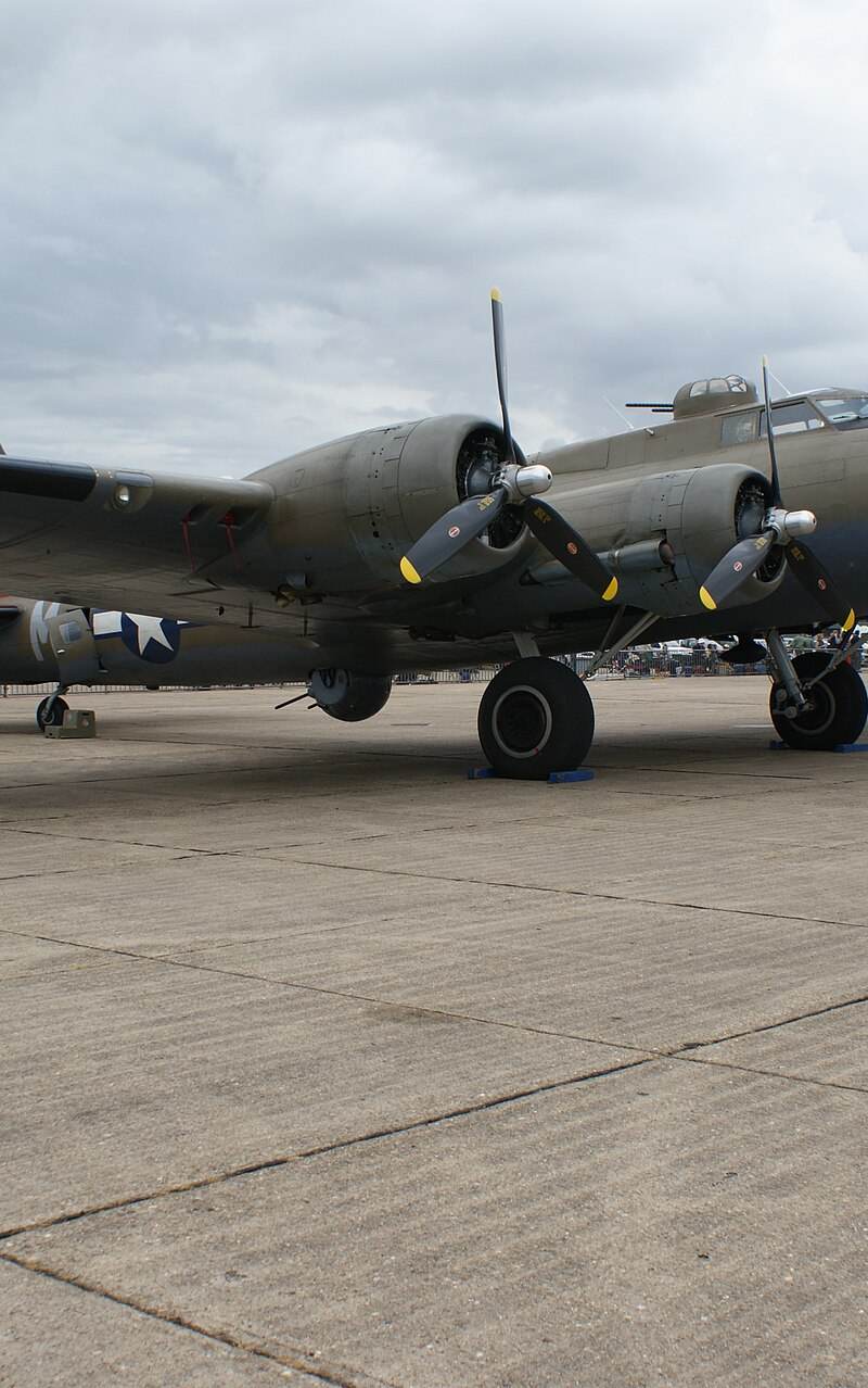  - Warbird