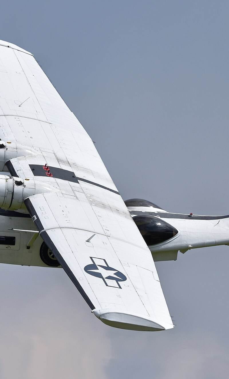  - Warbird