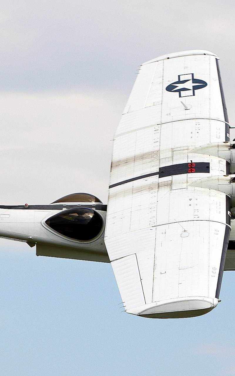  - Warbird