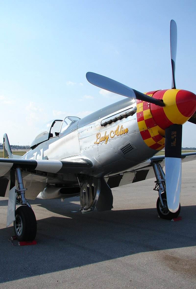  - Warbird