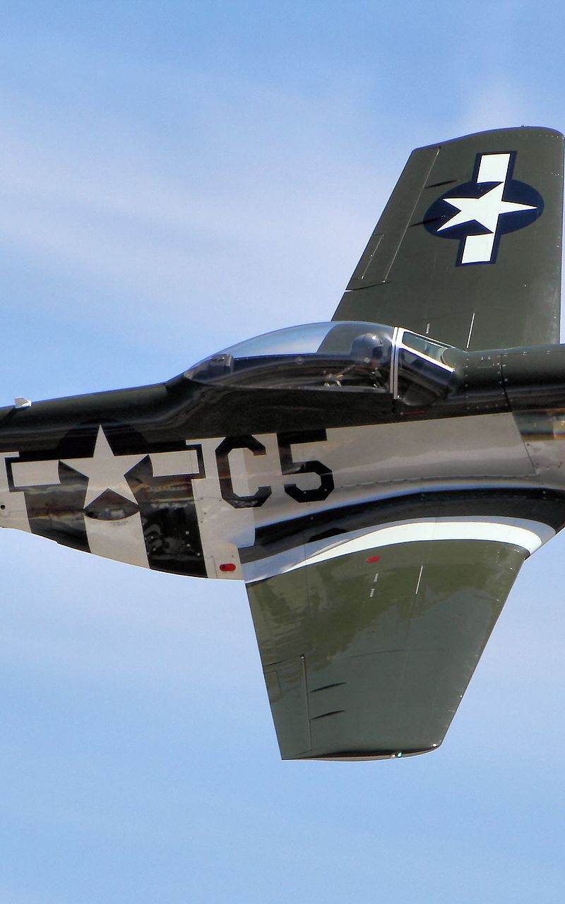  - Warbird