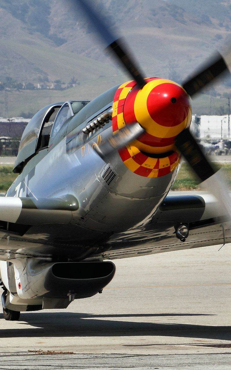  - Warbird