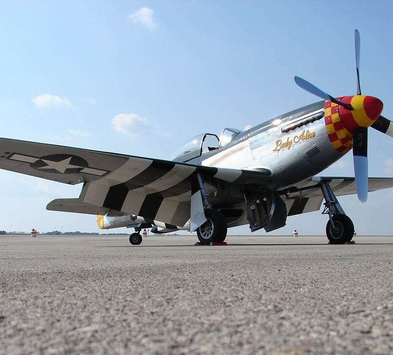  - Warbird