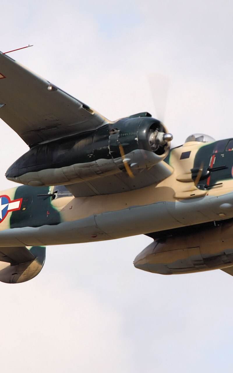  - Warbird