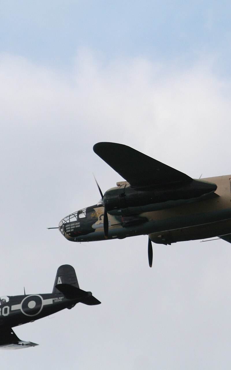  - Warbird