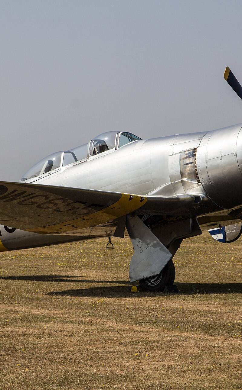  - Warbird
