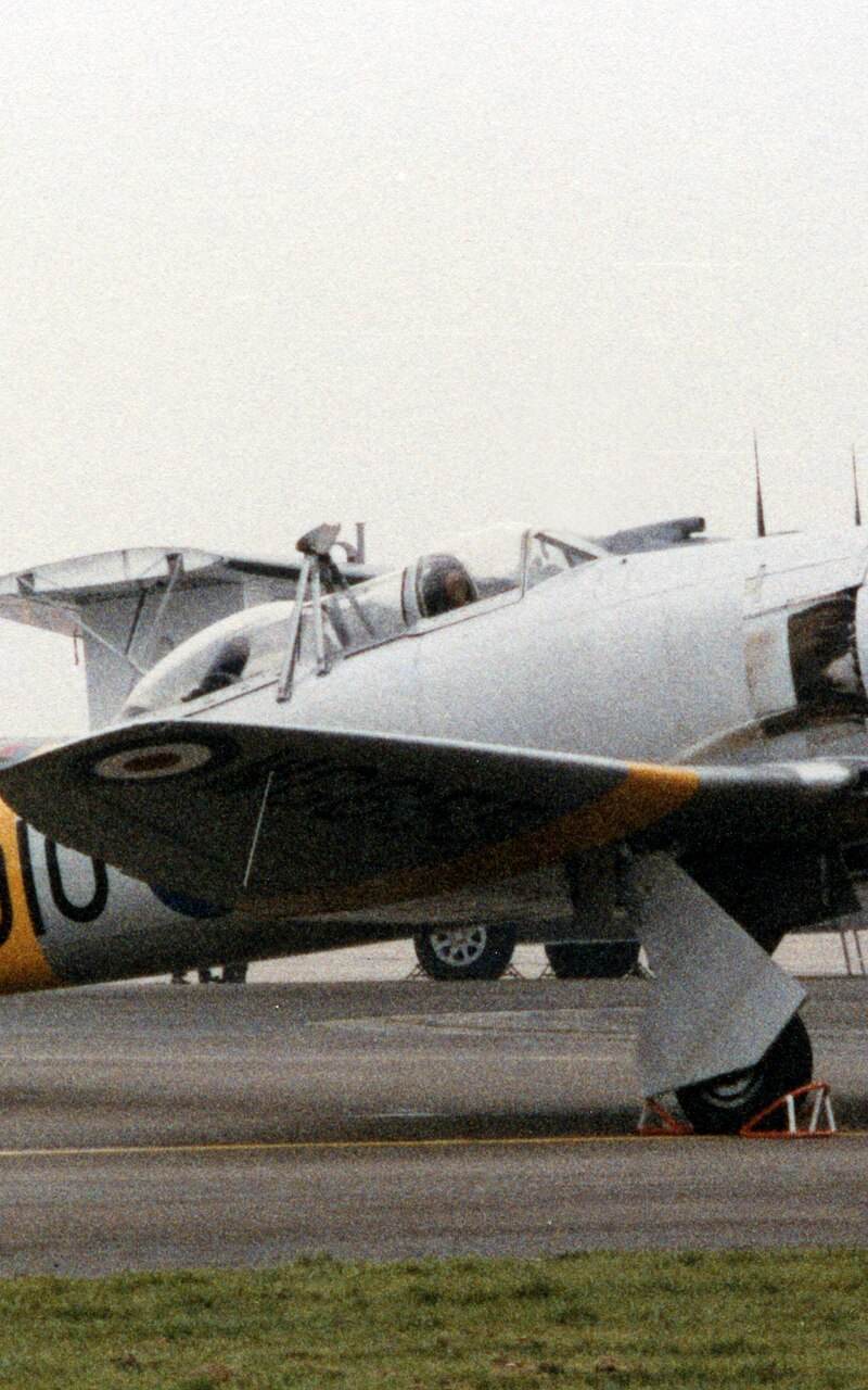  - Warbird