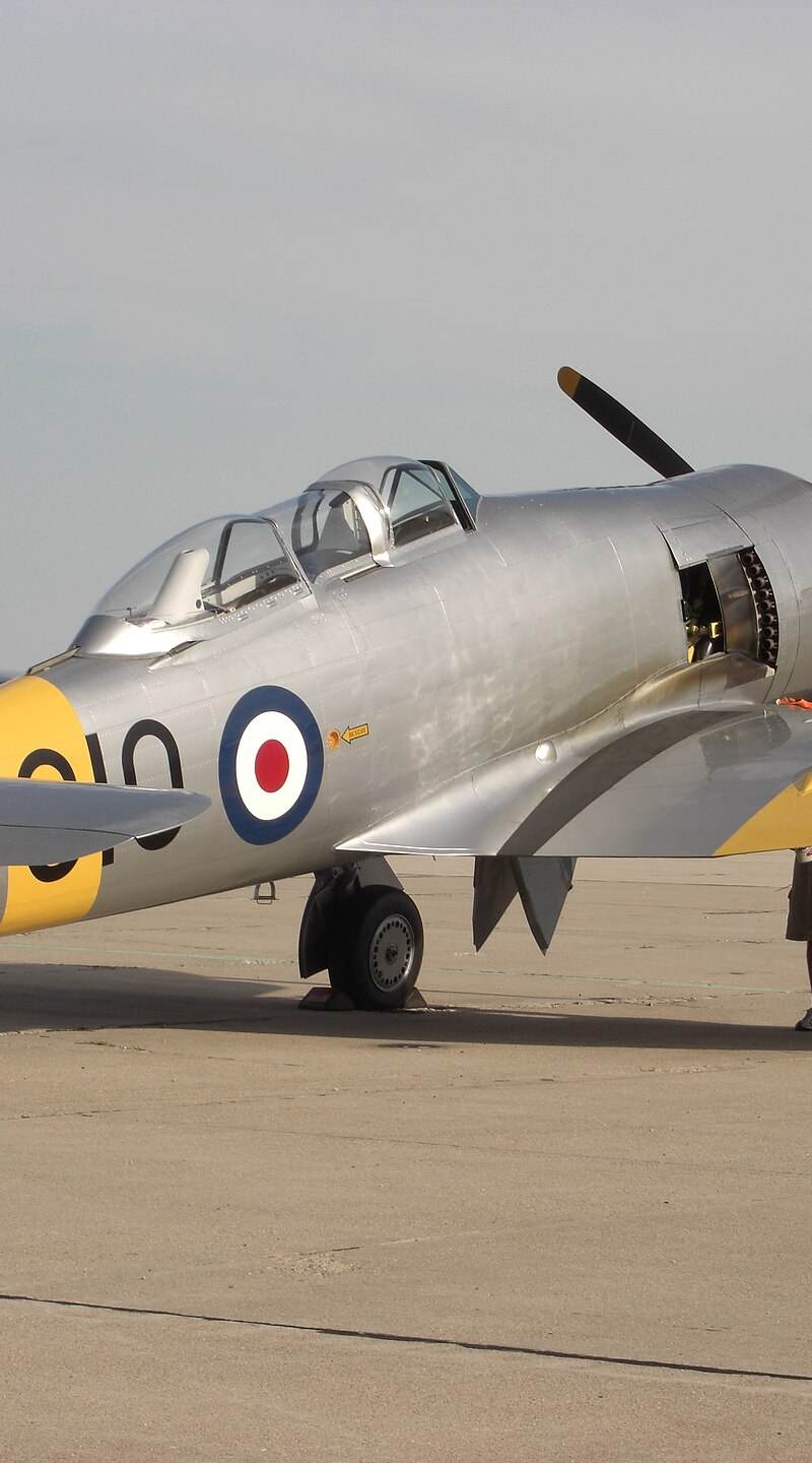  - Warbird