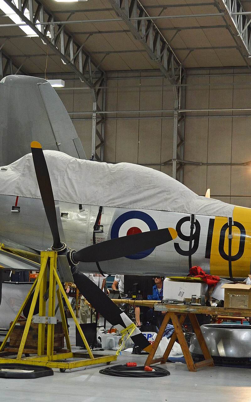  - Warbird