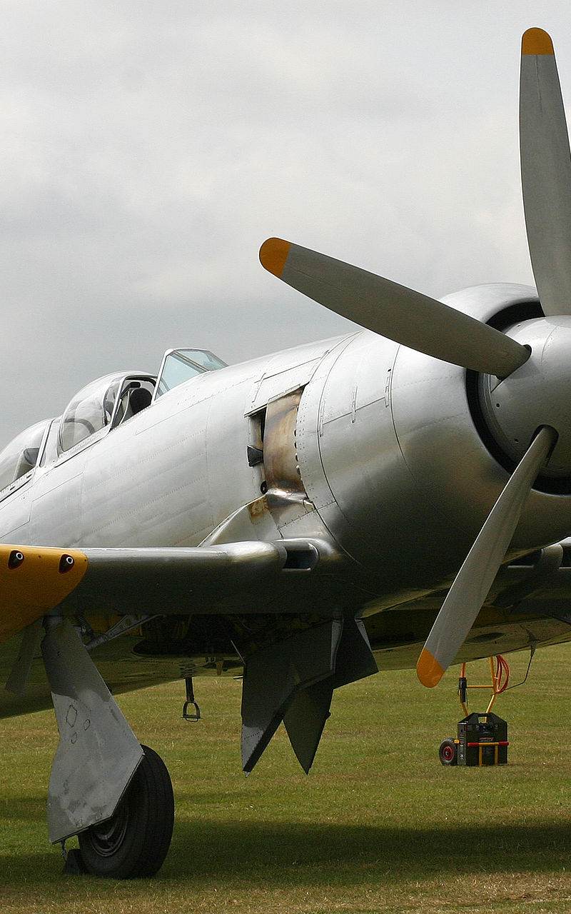  - Warbird