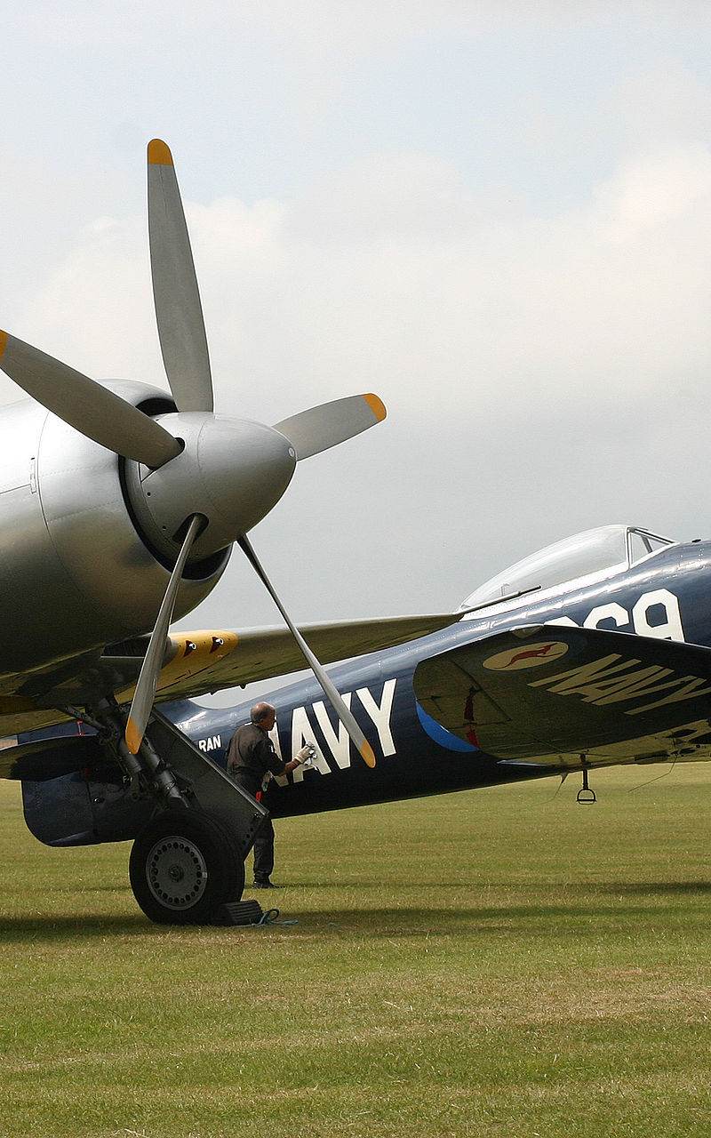  - Warbird