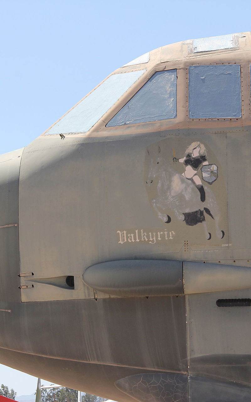  - Warbird