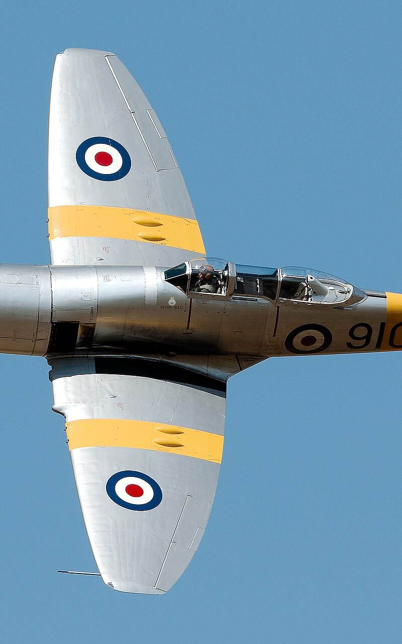 - Warbird