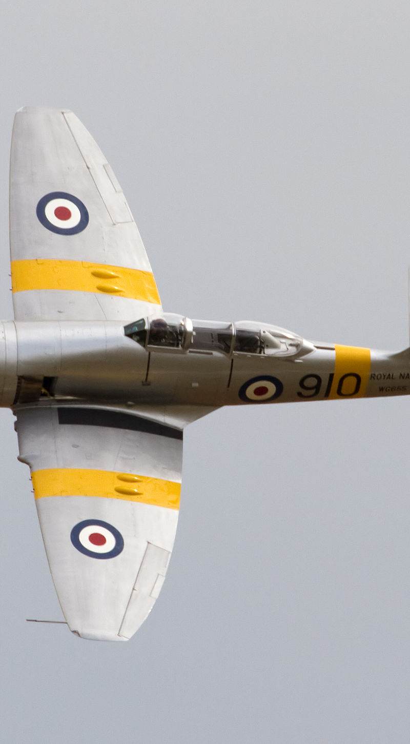  - Warbird
