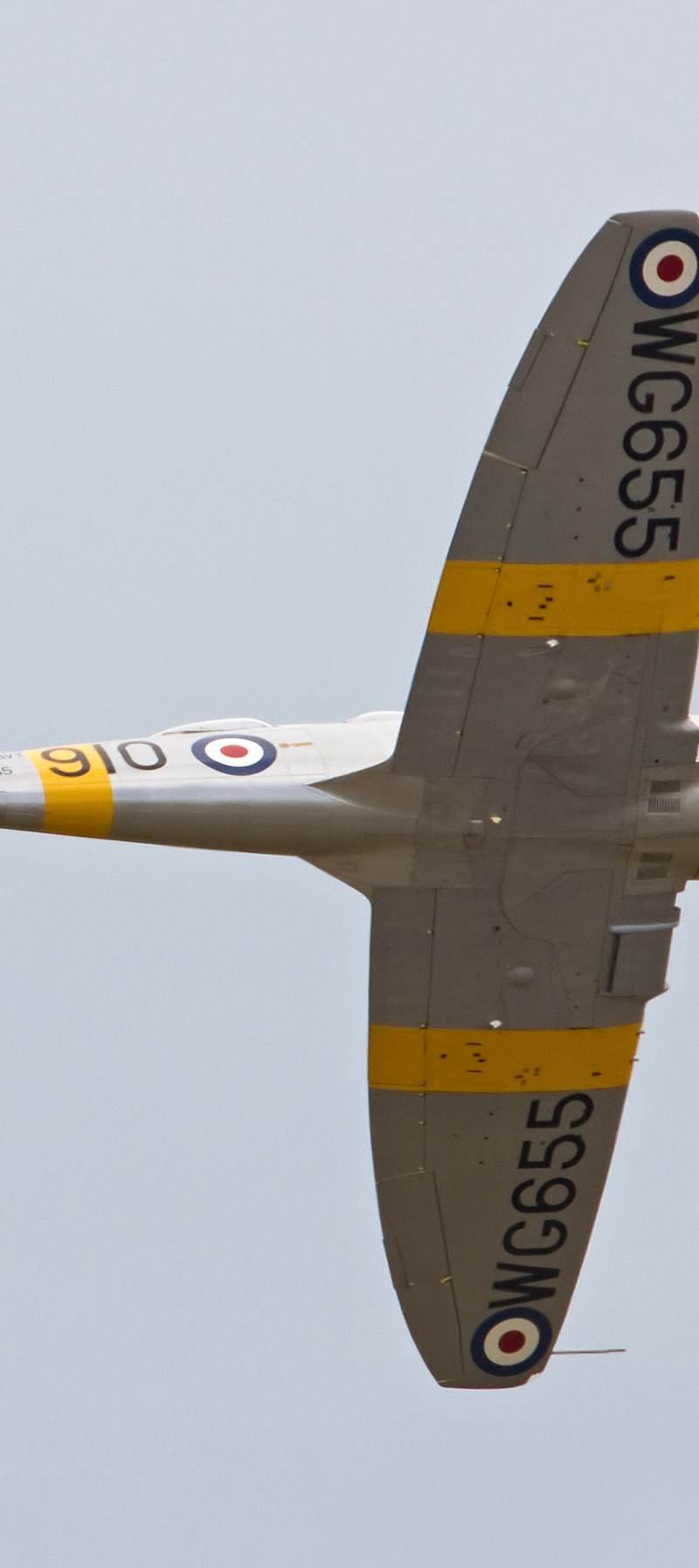  - Warbird