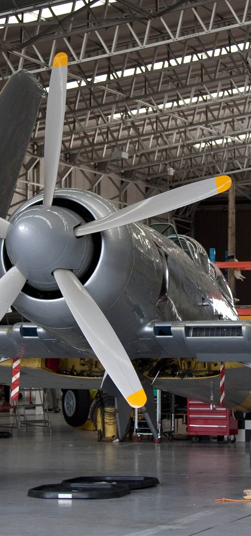  - Warbird
