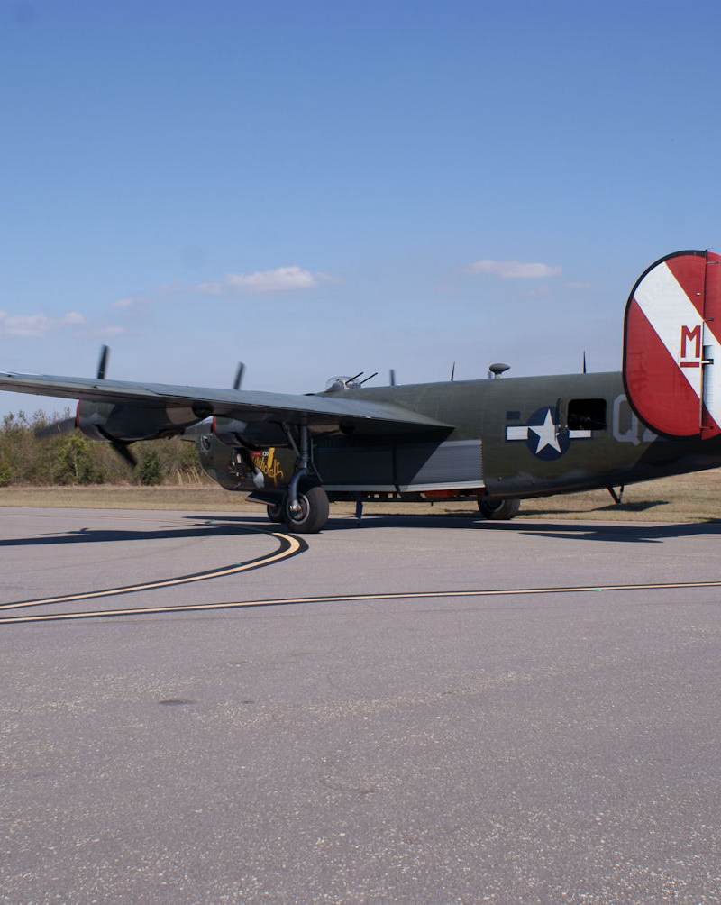  - Warbird