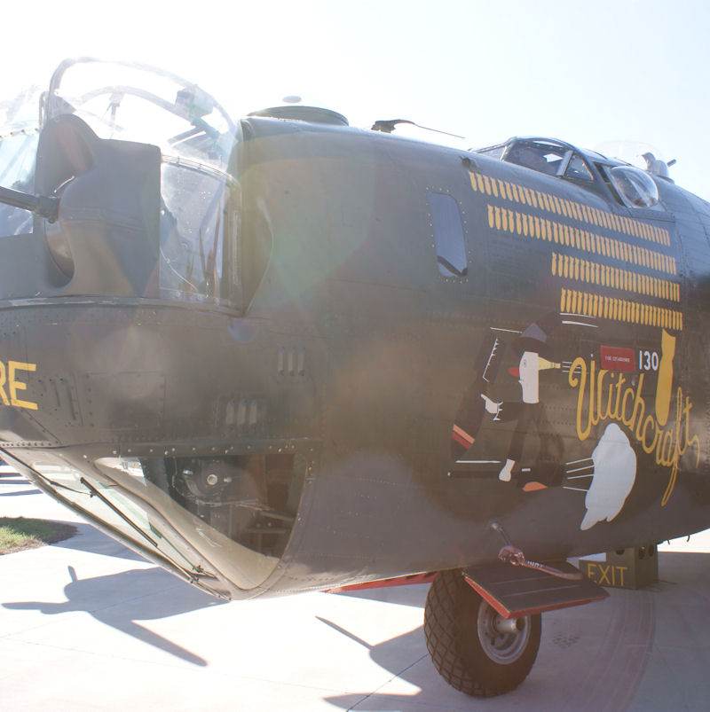  - Warbird