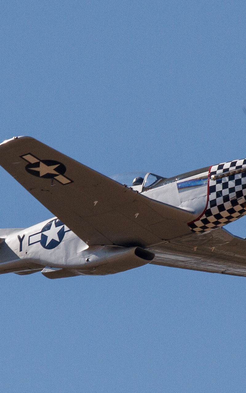  - Warbird