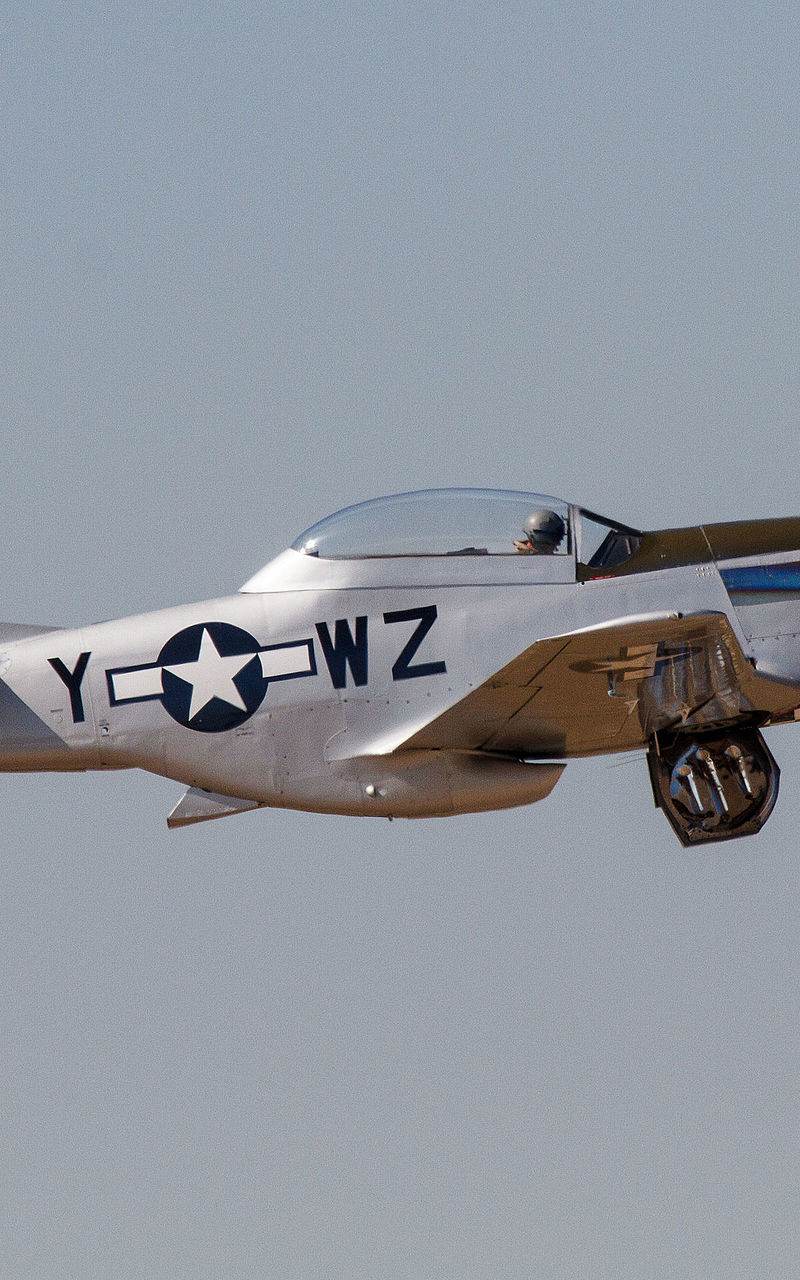  - Warbird