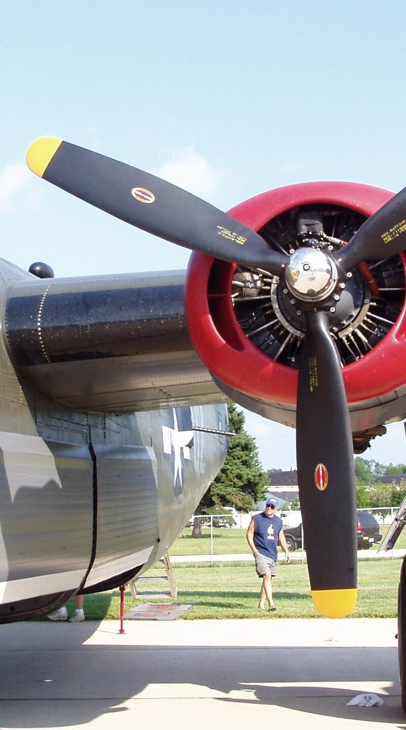  - Warbird