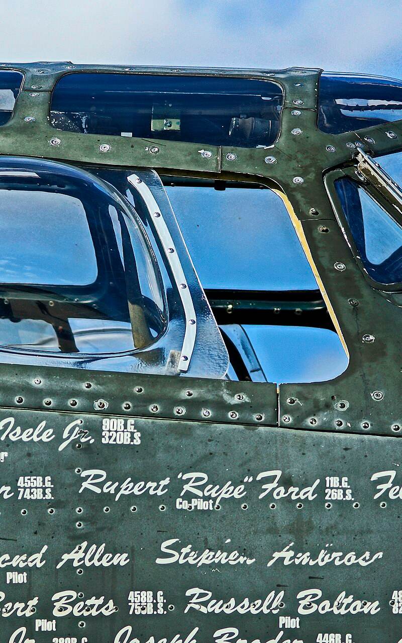  - Warbird