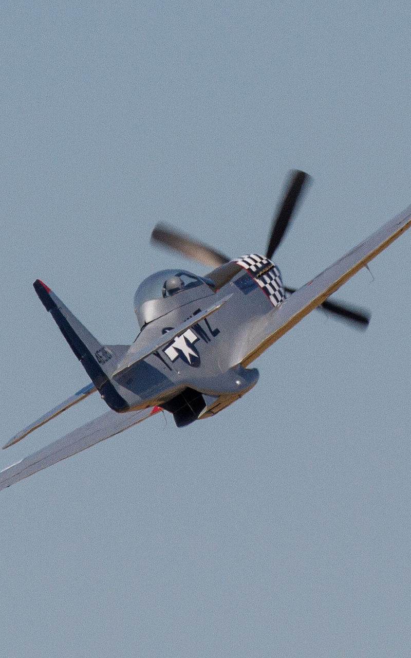  - Warbird