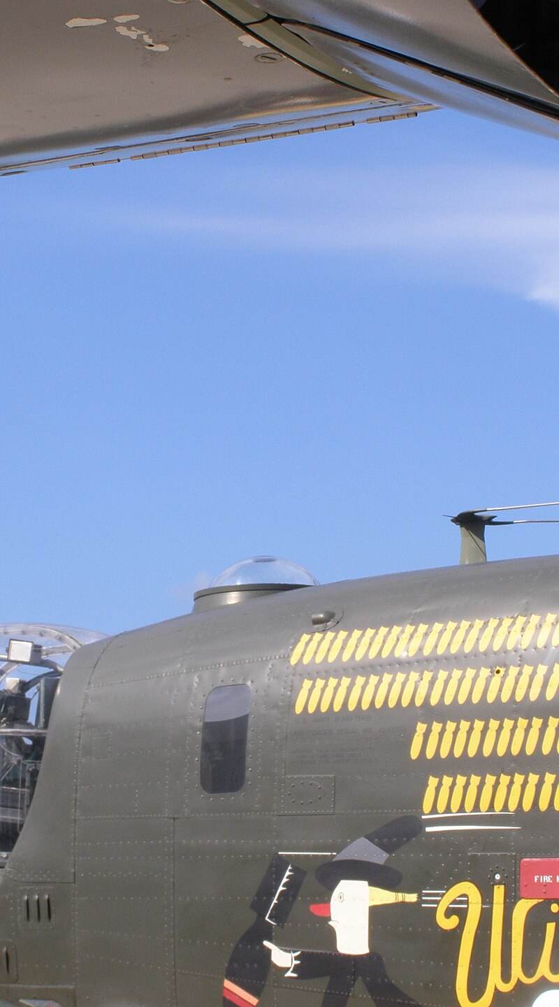 - Warbird