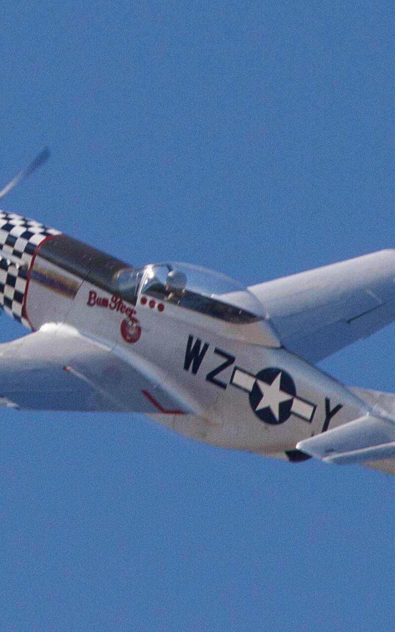  - Warbird