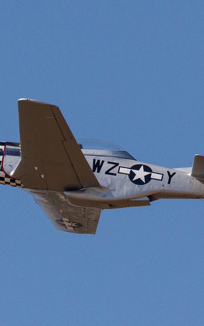  - Warbird
