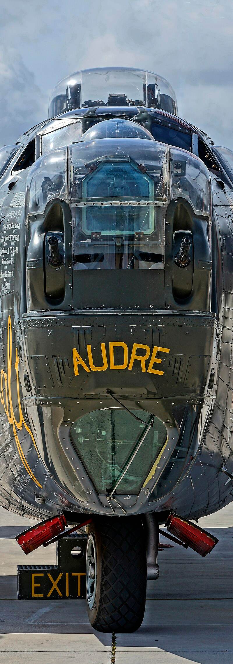  - Warbird